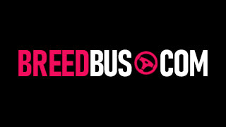 Breed Bus